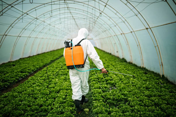 Best Best Pest Control Near Me  in Cecilia, LA