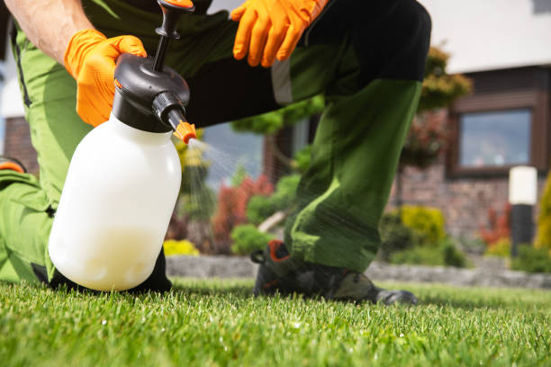 Wasp Removal Services in Cecilia, LA