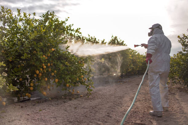 Professional Pest Control in Cecilia, LA