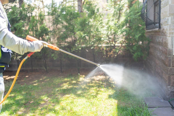 Best Wasp Removal Services  in Cecilia, LA