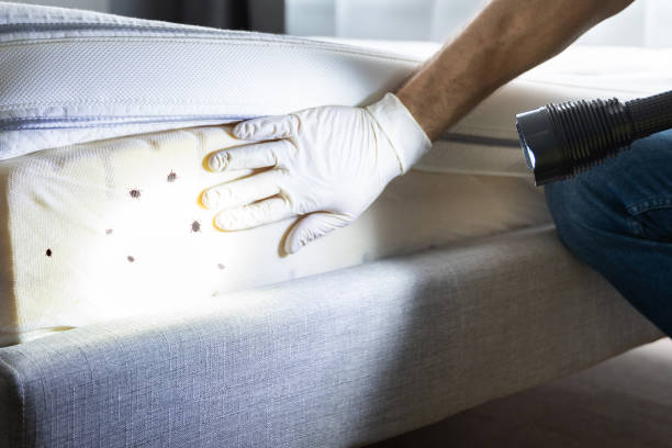Pest Prevention Services in Cecilia, LA