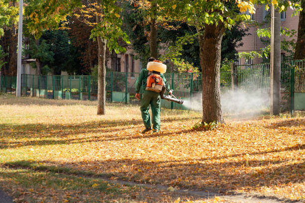 Best Pest Inspection Near Me  in Cecilia, LA