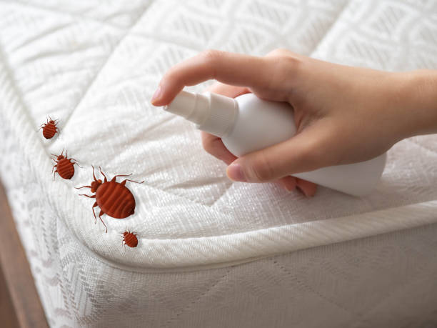 Best Pest Control Near Me in Cecilia, LA