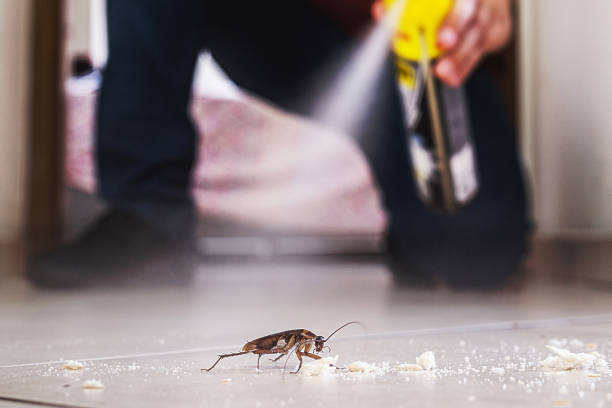 Trusted Cecilia, LA Pest Control Experts