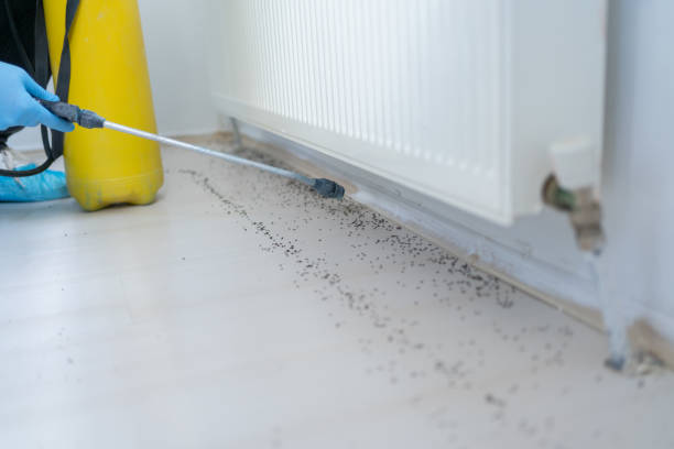 Best Pest Control for Homes  in Cecilia, LA