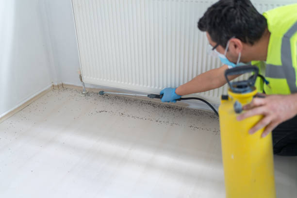 Best Pest Inspection Near Me  in Cecilia, LA